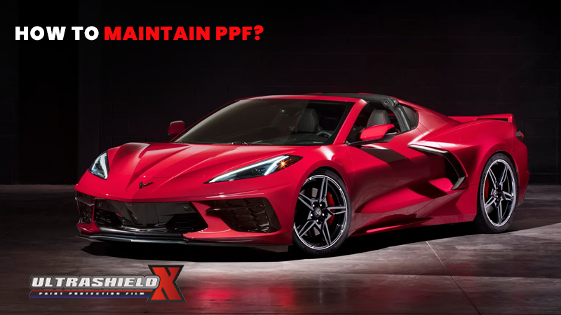 How To Maintain PPF?