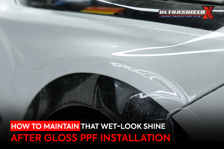 Gloss Paint Protection Film